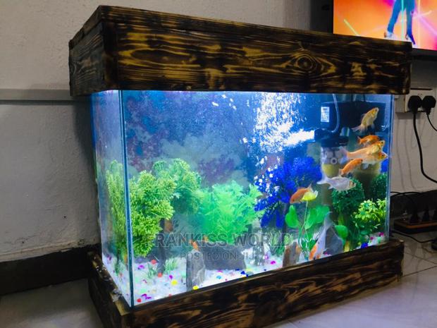 Mini Design Aquarium · Photo 1