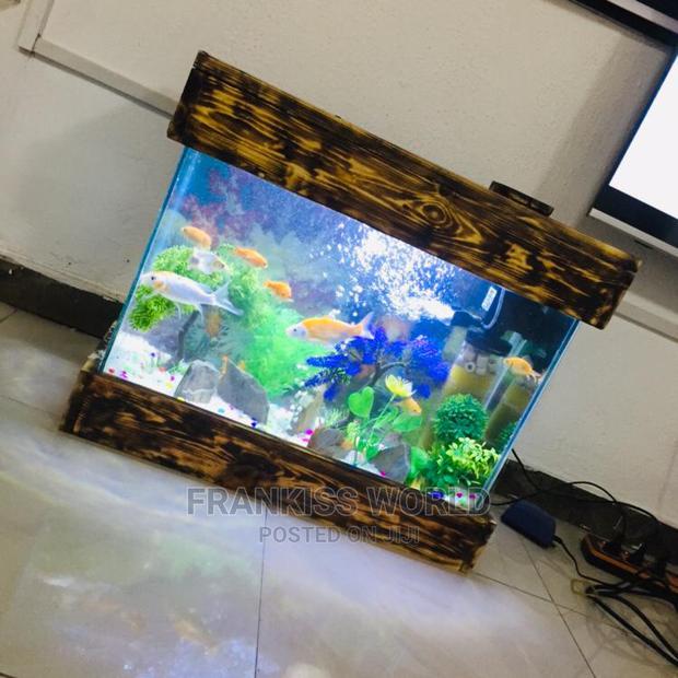 Mini Design Aquarium · Photo 2