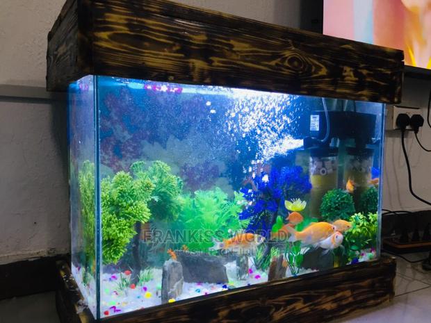 Mini Design Aquarium · Photo 3