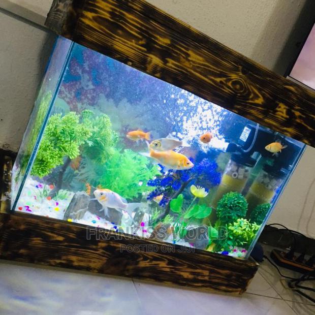 Mini Design Aquarium · Photo 4
