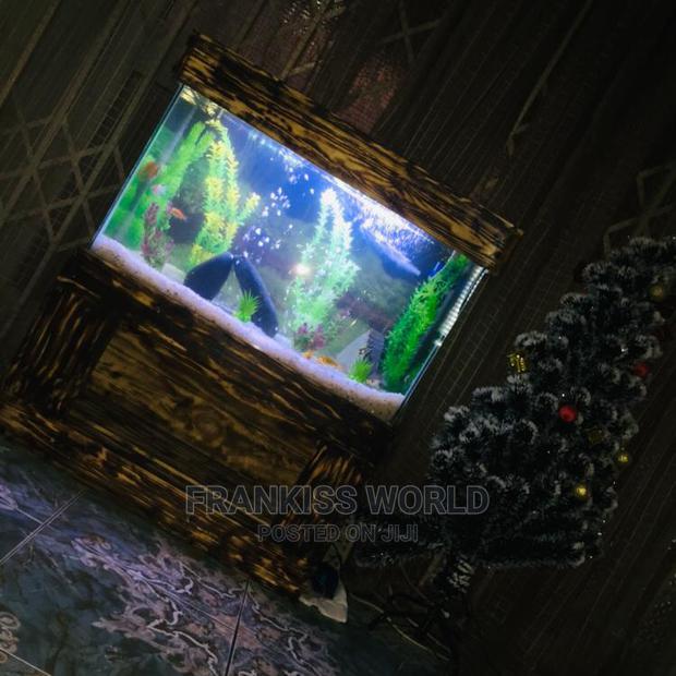 Aquarium for Sale · Photo 3
