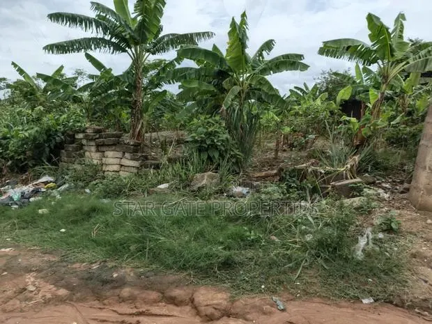 2 Plots for Sale at Atimatim Maase ( Near Pankrono) · Photo 1