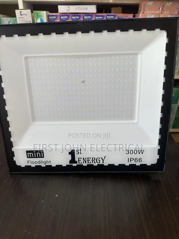 300Watt Mini Flood Light · Photo 1