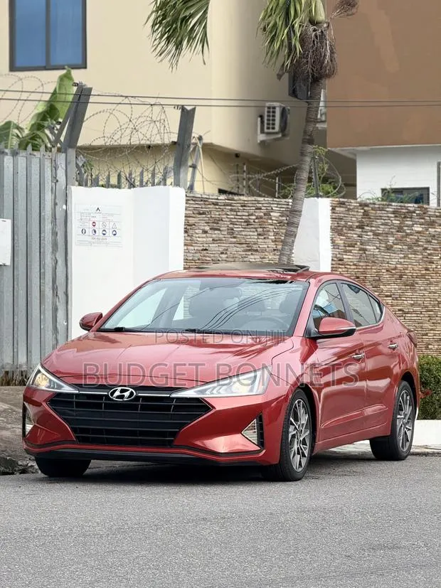 Hyundai Elantra Limited 2019 Orange · Photo 1