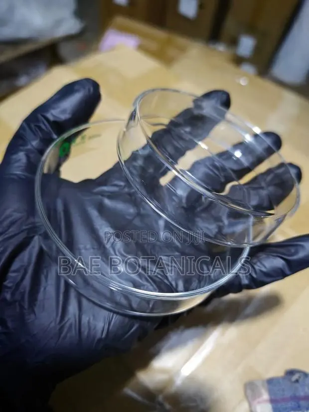 Glass Petri Dish · Photo 1
