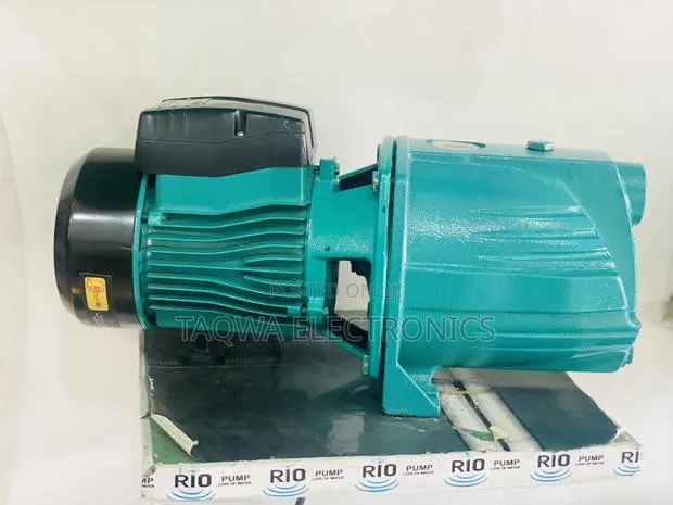 Leading Rio 1.5hp Surface Water Pump · Photo 1