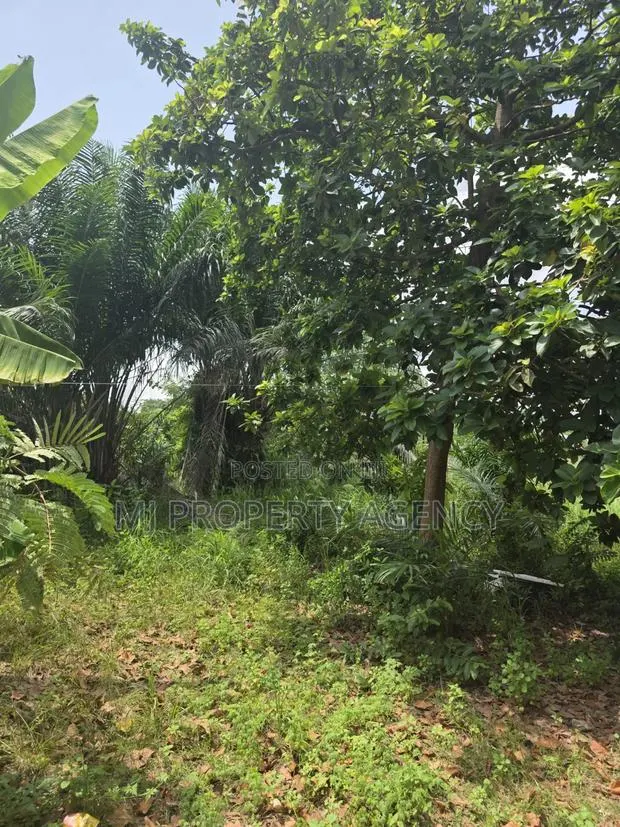 One Half Plot at Ahodwo Nyiayesu · Photo 1