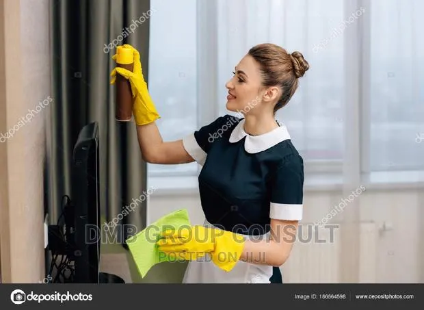 House 2 House Cleaners · Photo 1