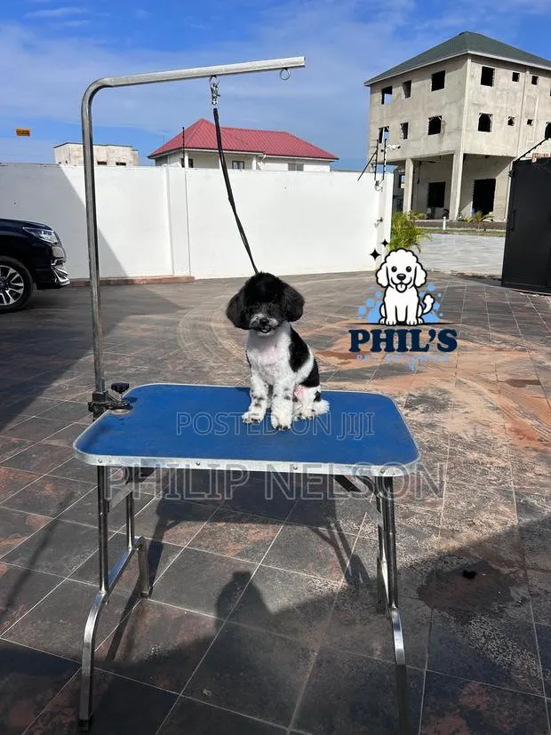 Dog Grooming Services · Photo 2