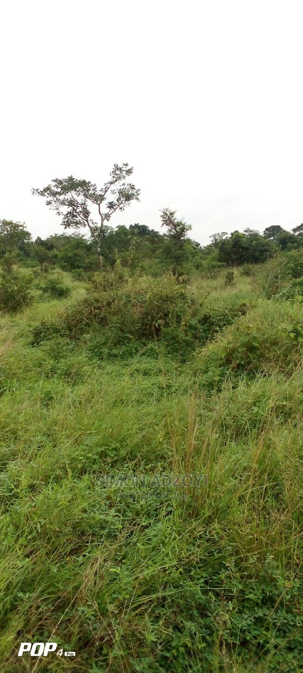 10.000 Acres of Land for Lease · Photo 2