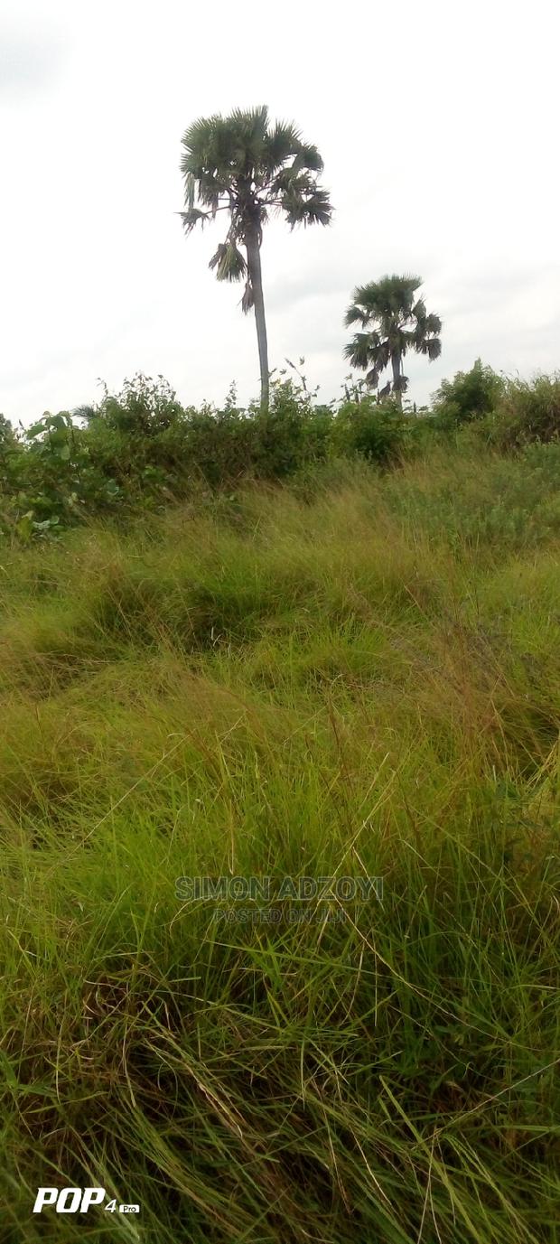 10.000 Acres of Land for Lease · Photo 3
