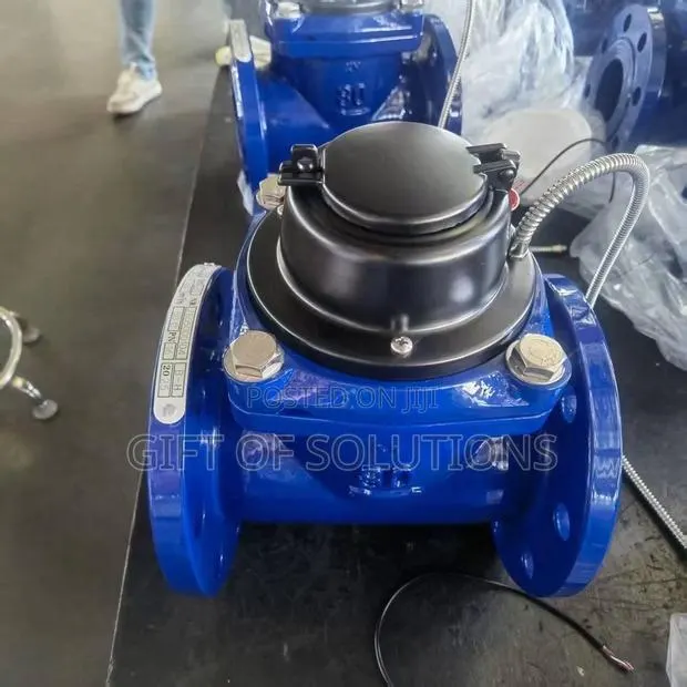 8” and 10” FLANGE FLOW METER · Photo 1