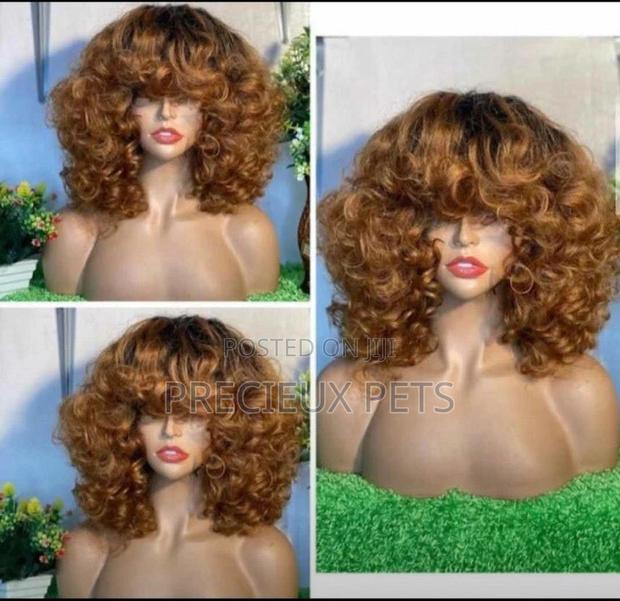 Omotola Wig · Photo 1
