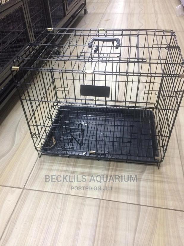 Bird Cages · Photo 2