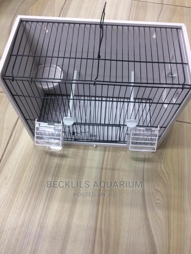 Bird Cages · Photo 1