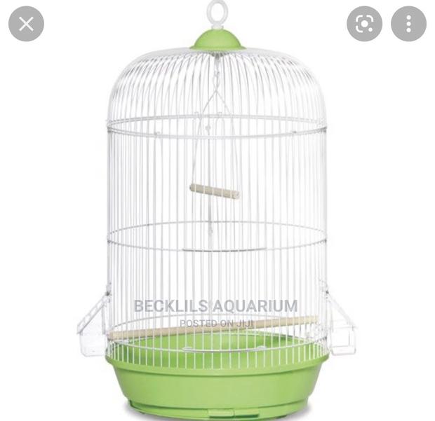 Round Bird Cage · Photo 4