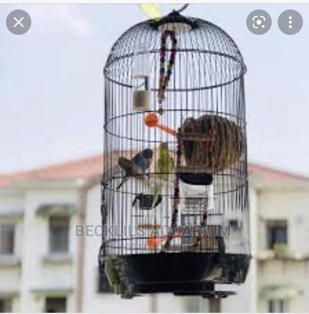 Round Bird Cage · Photo 3