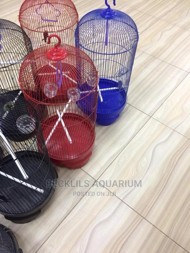 Round Bird Cage · Photo 5