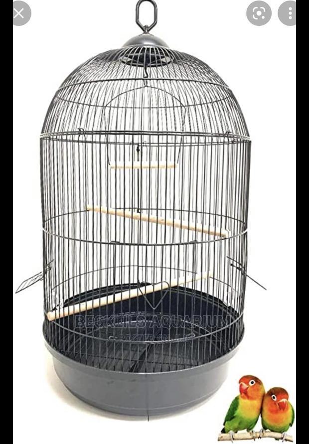 Round Bird Cage · Photo 2