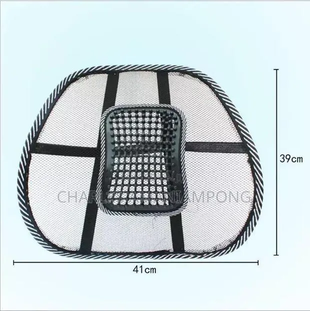 Mesh Lumbar Support Back Cushion · Photo 1