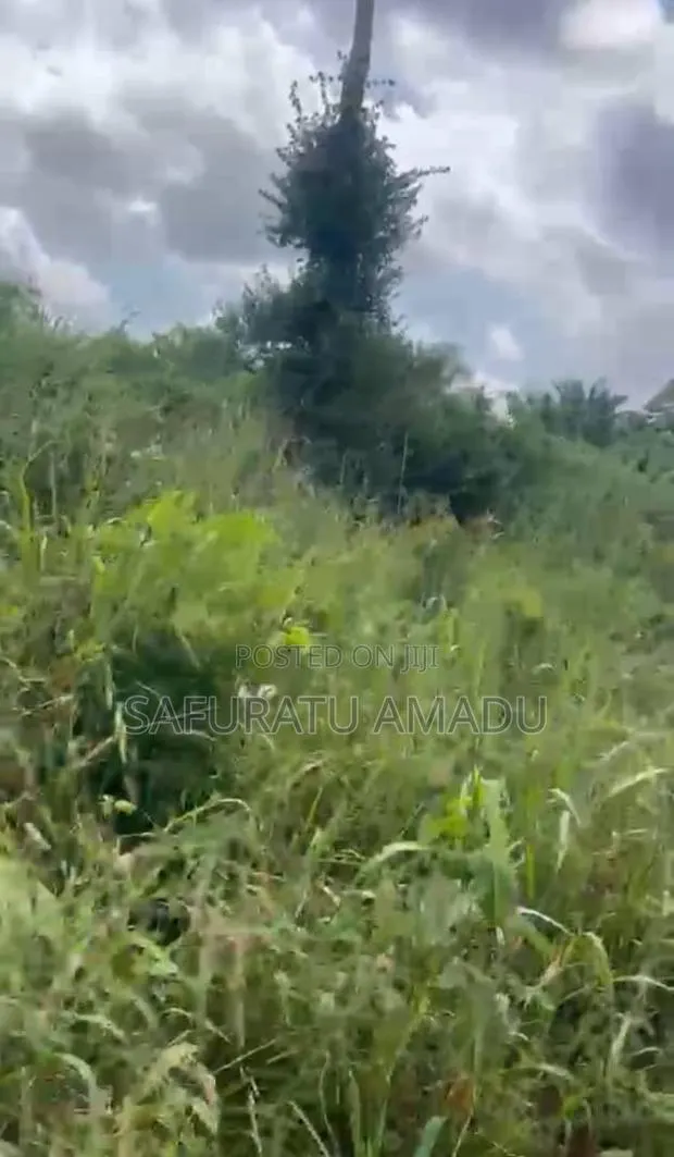 Land for Sale · Photo 1