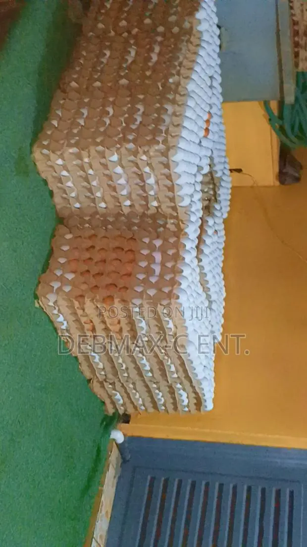 Diamond Eggs · Photo 1