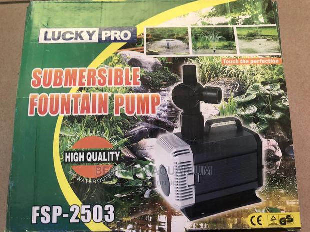 Submersible Fountain Pumps · Photo 1