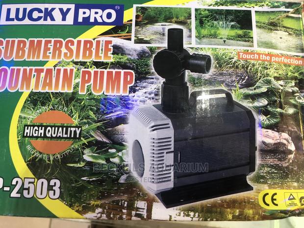 Submersible Fountain Pumps · Photo 3