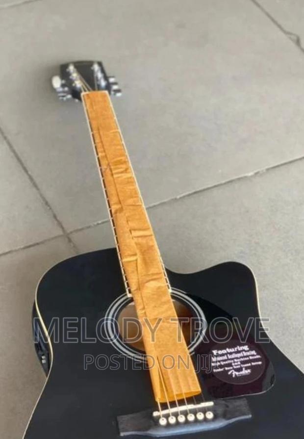 Fender Semi-Acoustic Guitar · Photo 2