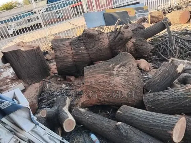 Tree Logs for Sale · Photo 1
