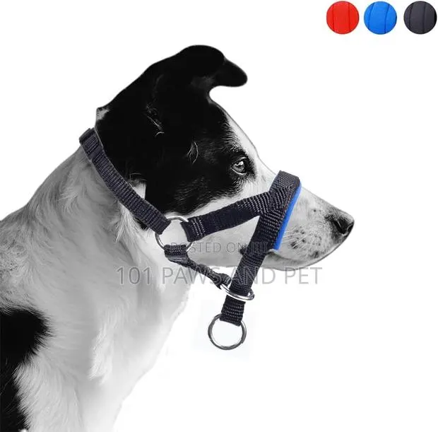 Dog Head Collar · Photo 1