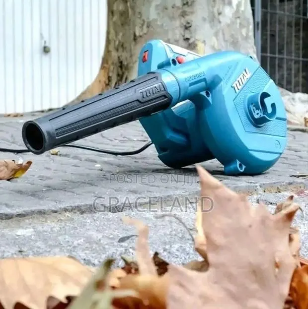 This Is Original Total Blower 800w Corded Powerful Machine · Photo 1