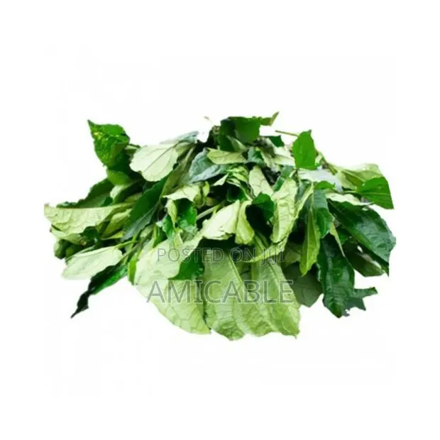Ugu (Pumpkin) Leaf · Photo 1