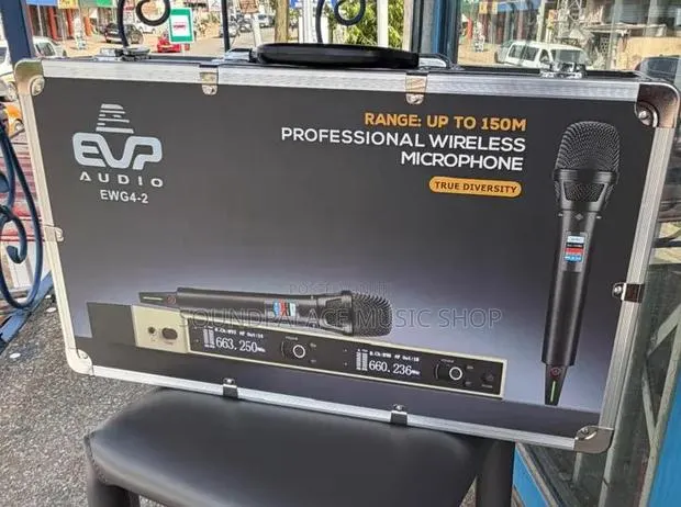 Evp Audio Ewg4 2in1 Professional Wireless Microphone · Photo 1