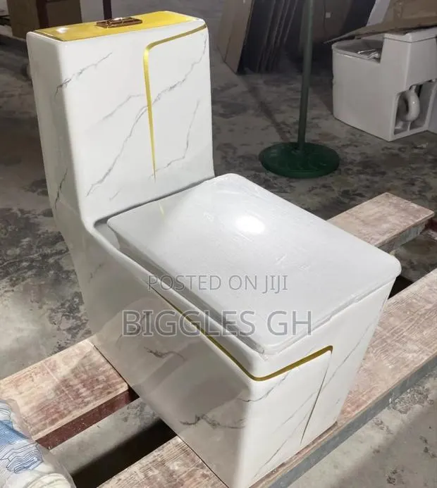 White and Gold Wc · Photo 1