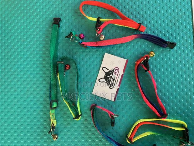 Rainbow Color Belts · Photo 3