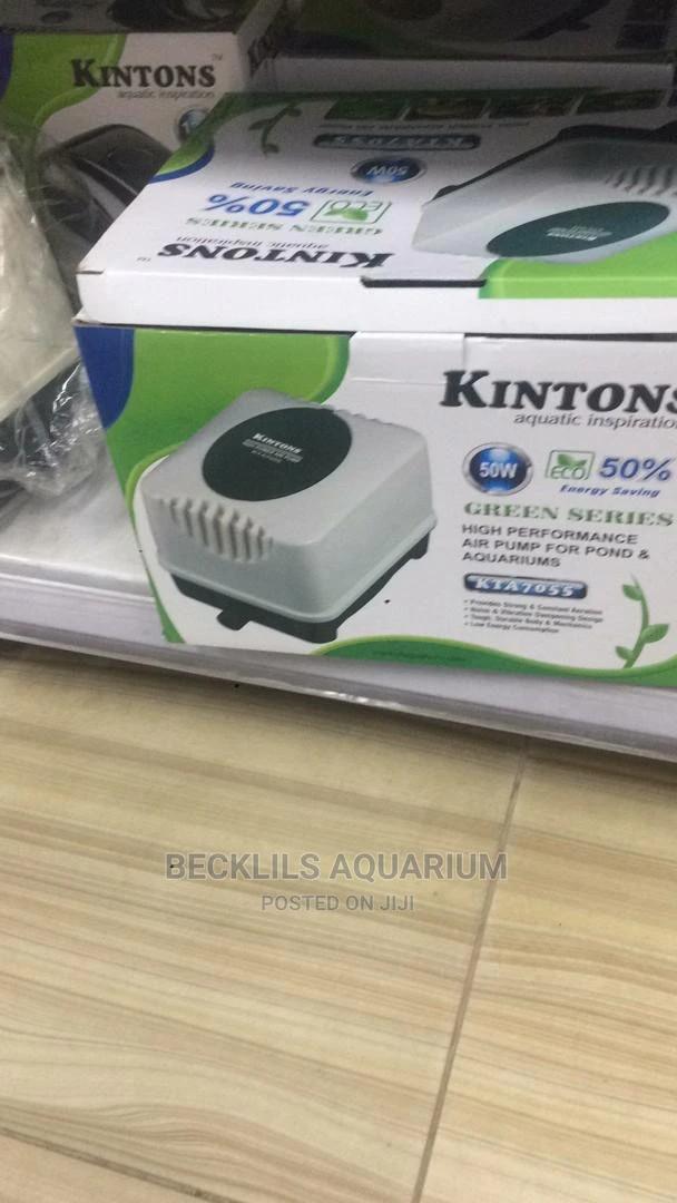 16 Outlet Airpump · Photo 4