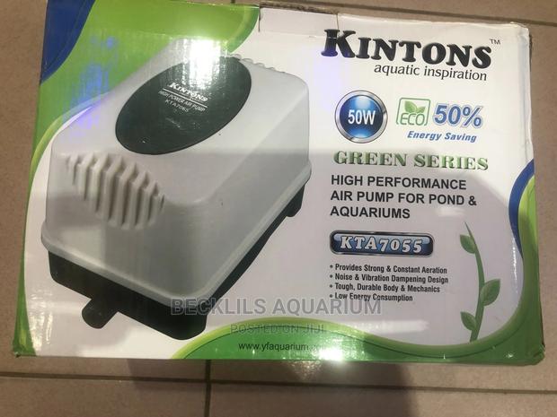 16 Outlet Airpump · Photo 1