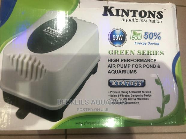 16 Outlet Airpump · Photo 3