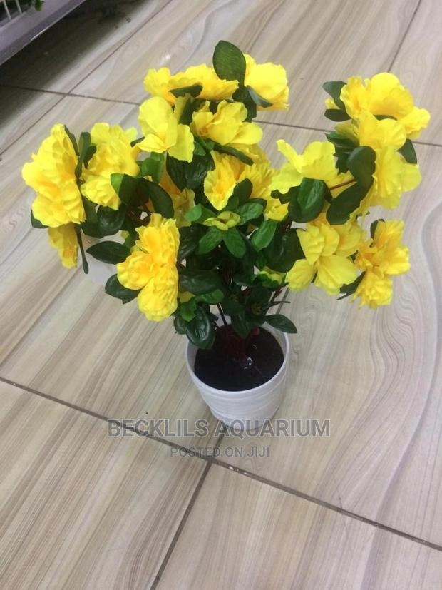 Flowers and Flower Pot · Photo 1