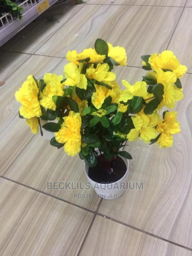 Flowers and Flower Pot · Photo 2