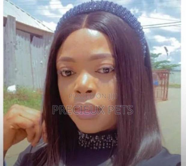 Bone Straight Blend · Photo 1