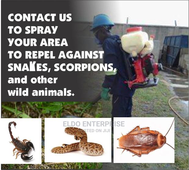 Snake And Scorpion Fumigation