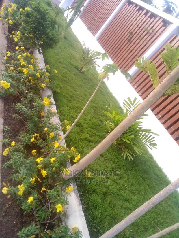 Garden Supplies · Photo 1