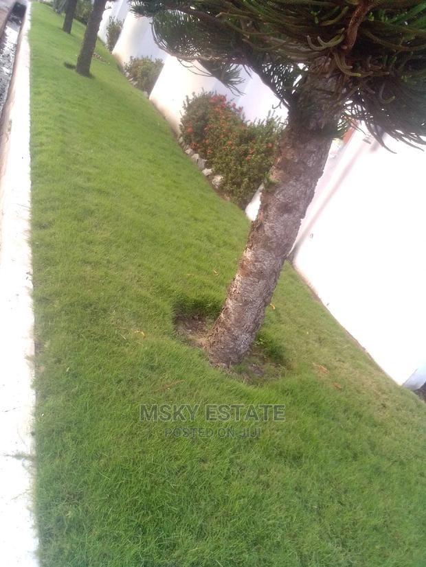 Garden Supplies · Photo 2