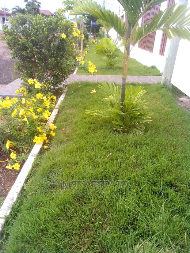 Garden Supplies · Photo 4