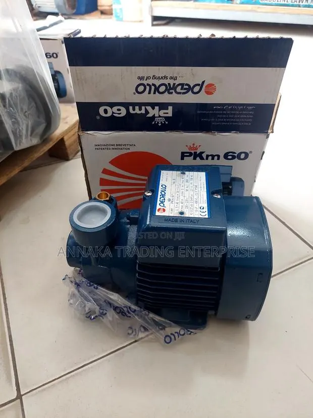 Pedrollo Water Pump · Photo 1