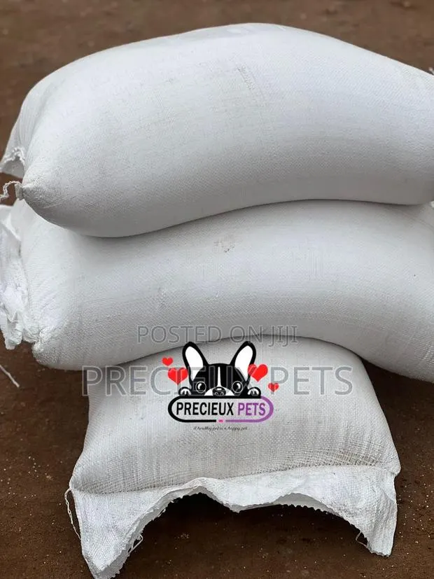 Cats and Dogs Rice at Precieux-Pets · Photo 1