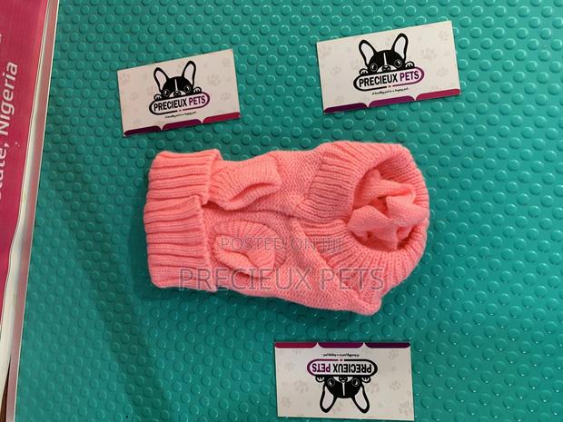 You Dog Clothings Series 14 · Photo 3