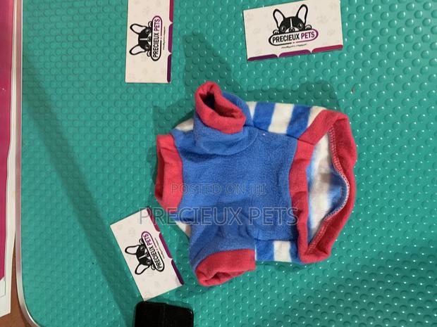 Toy Dog Clothings Series 18 · Photo 5